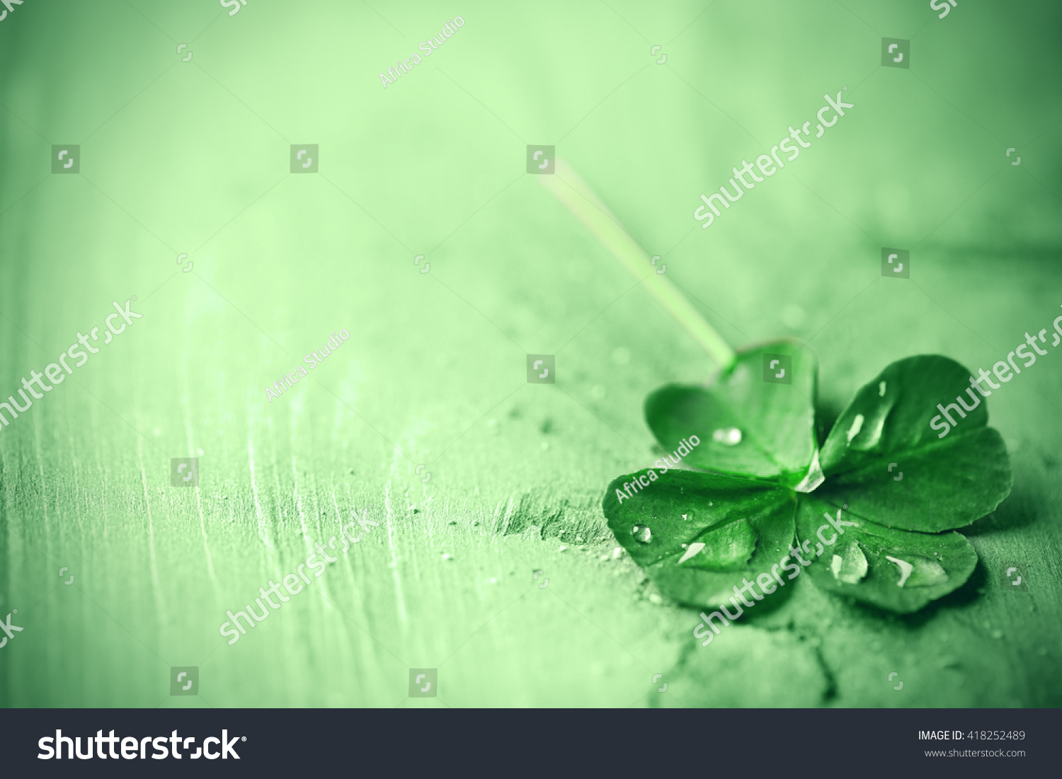 St. Patricks day,  clover leaf on green wooden background #418252489