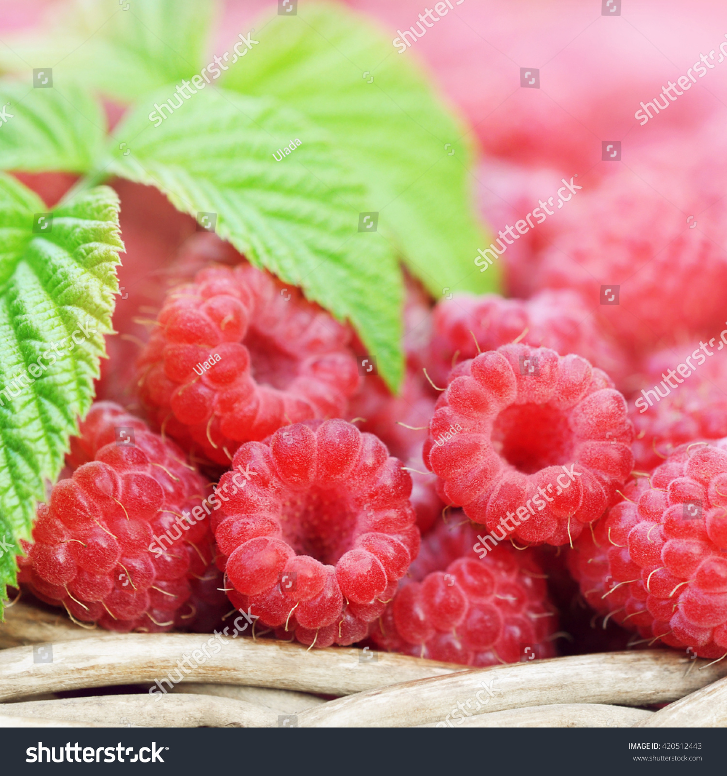 Basket of fresh ripe sweet raspberries, selective focus #420512443
