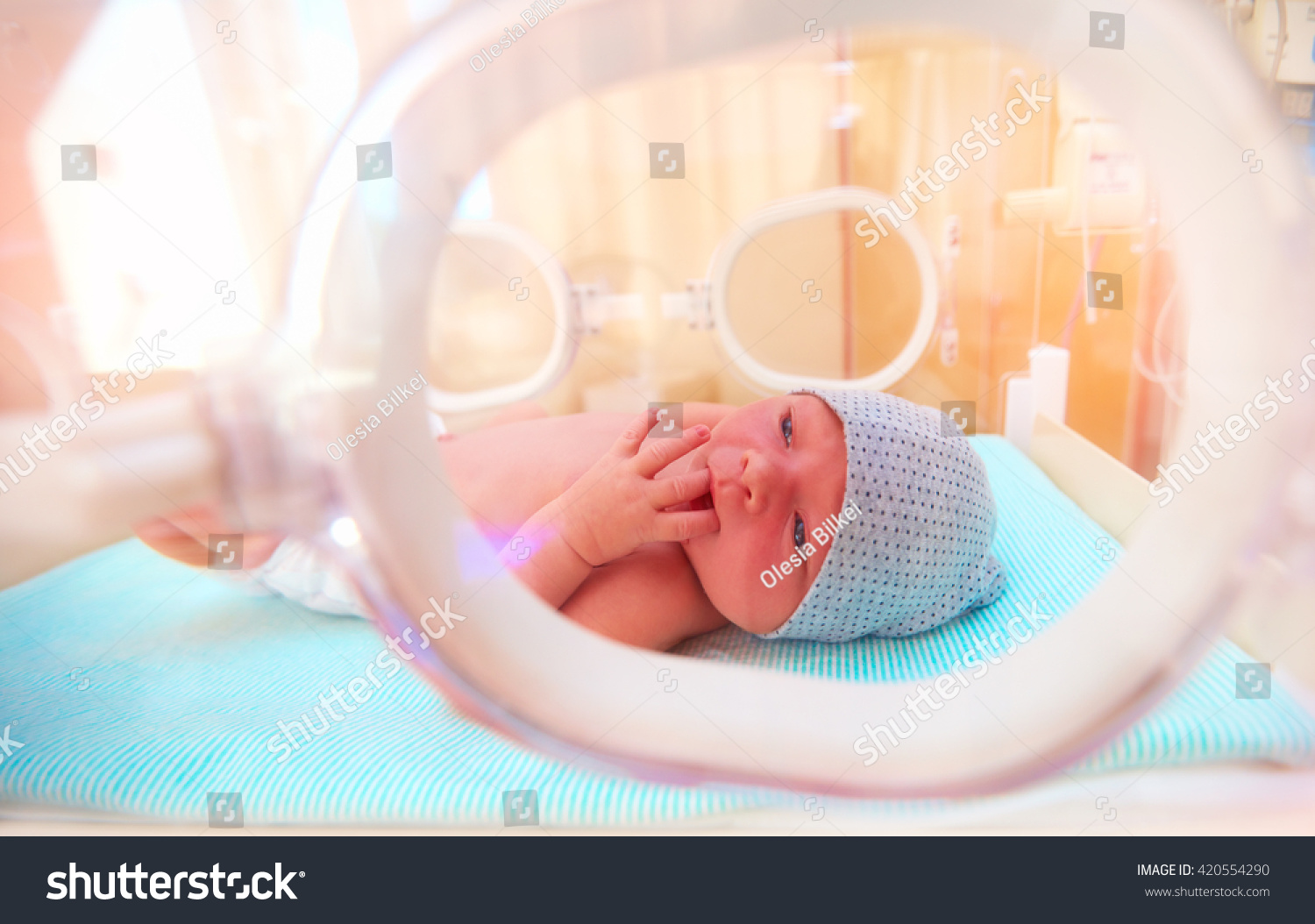 newborn baby lying inside the infant incubator in hospital, sucking fingers #420554290