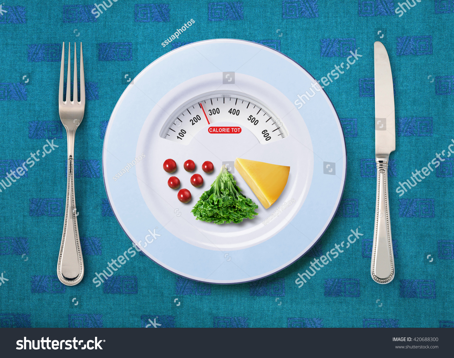 view of calorie tot in food that on white plate #420688300
