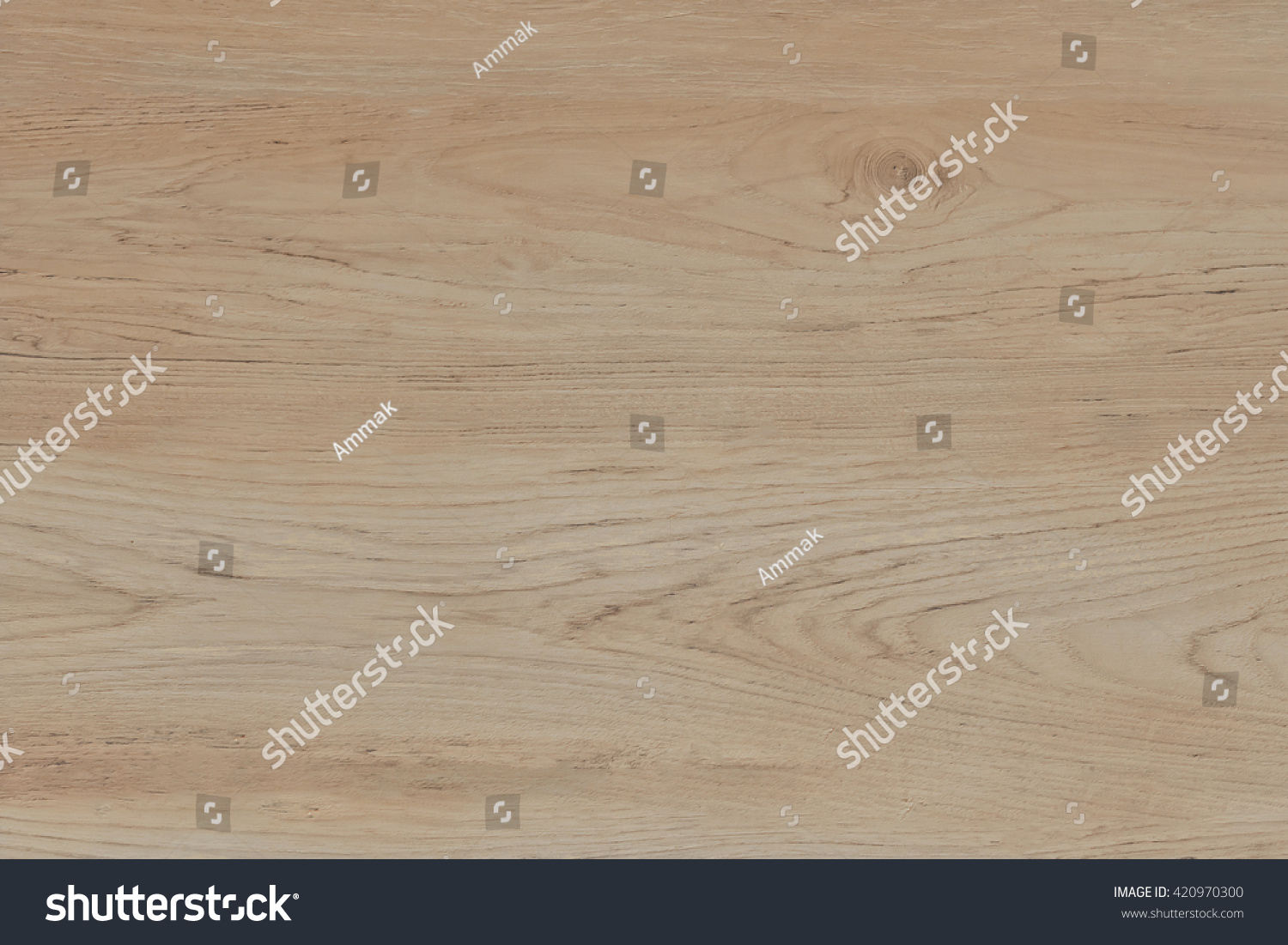 wood texture background #420970300