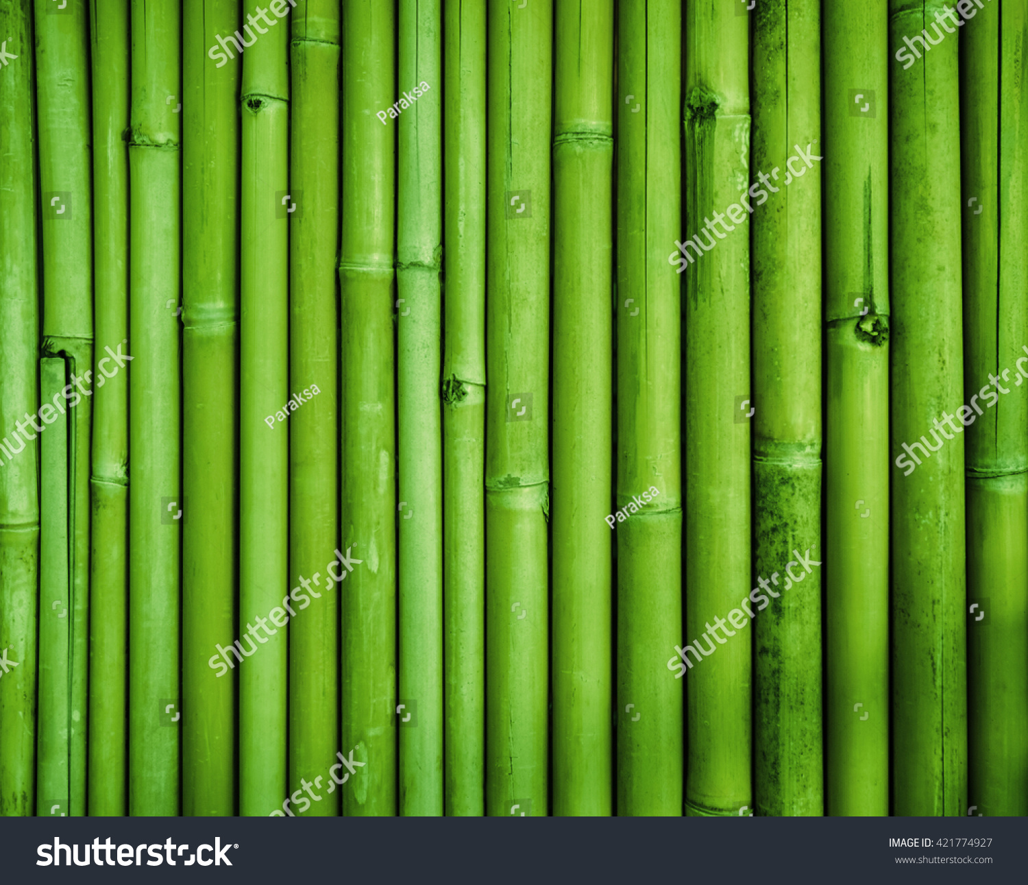 Green bamboo fence texture, bamboo background #421774927