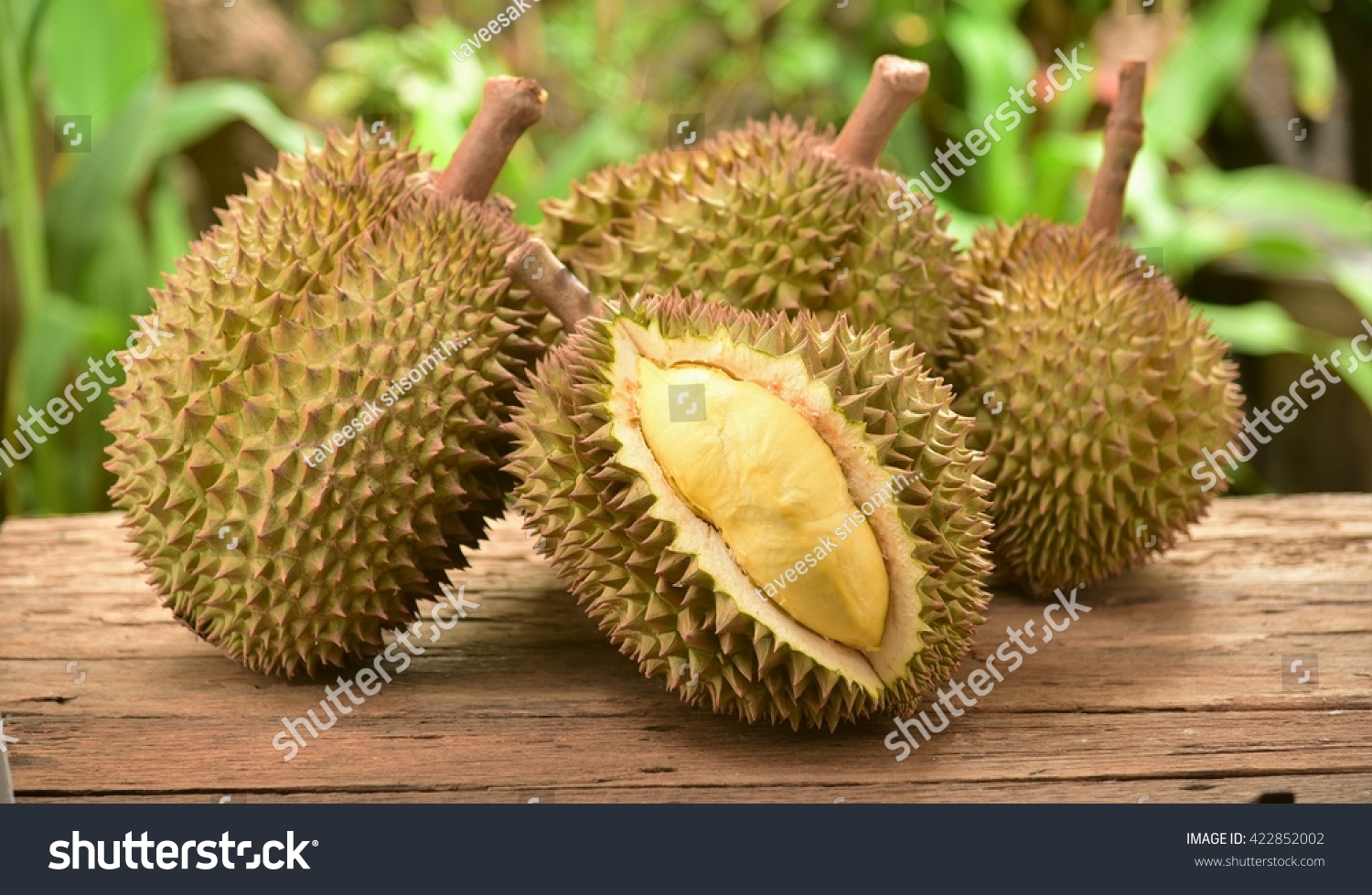 durian fruit #422852002