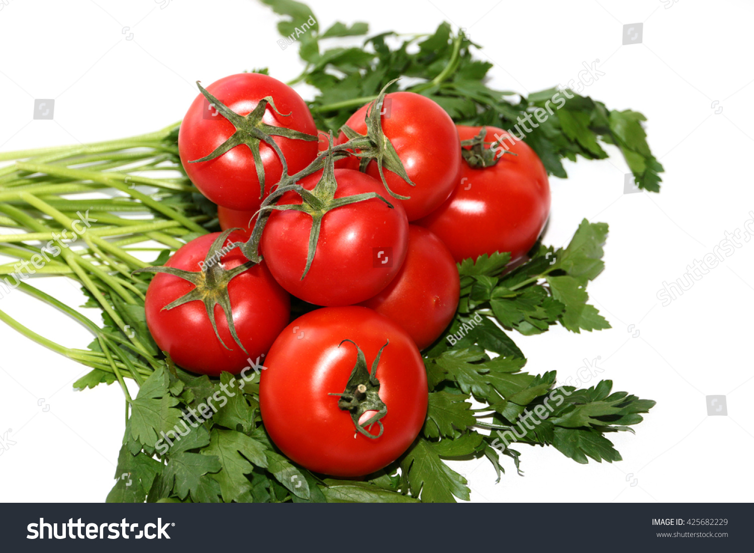 Harvest ripe tomatoes and a bunch of parsley #425682229