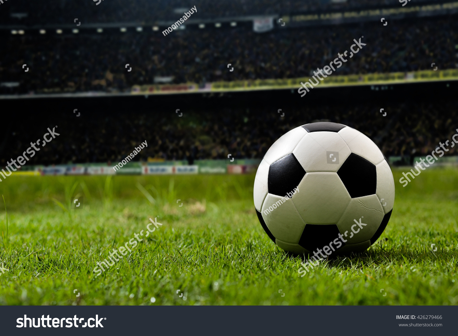 soccer on grass and stadium. #426279466