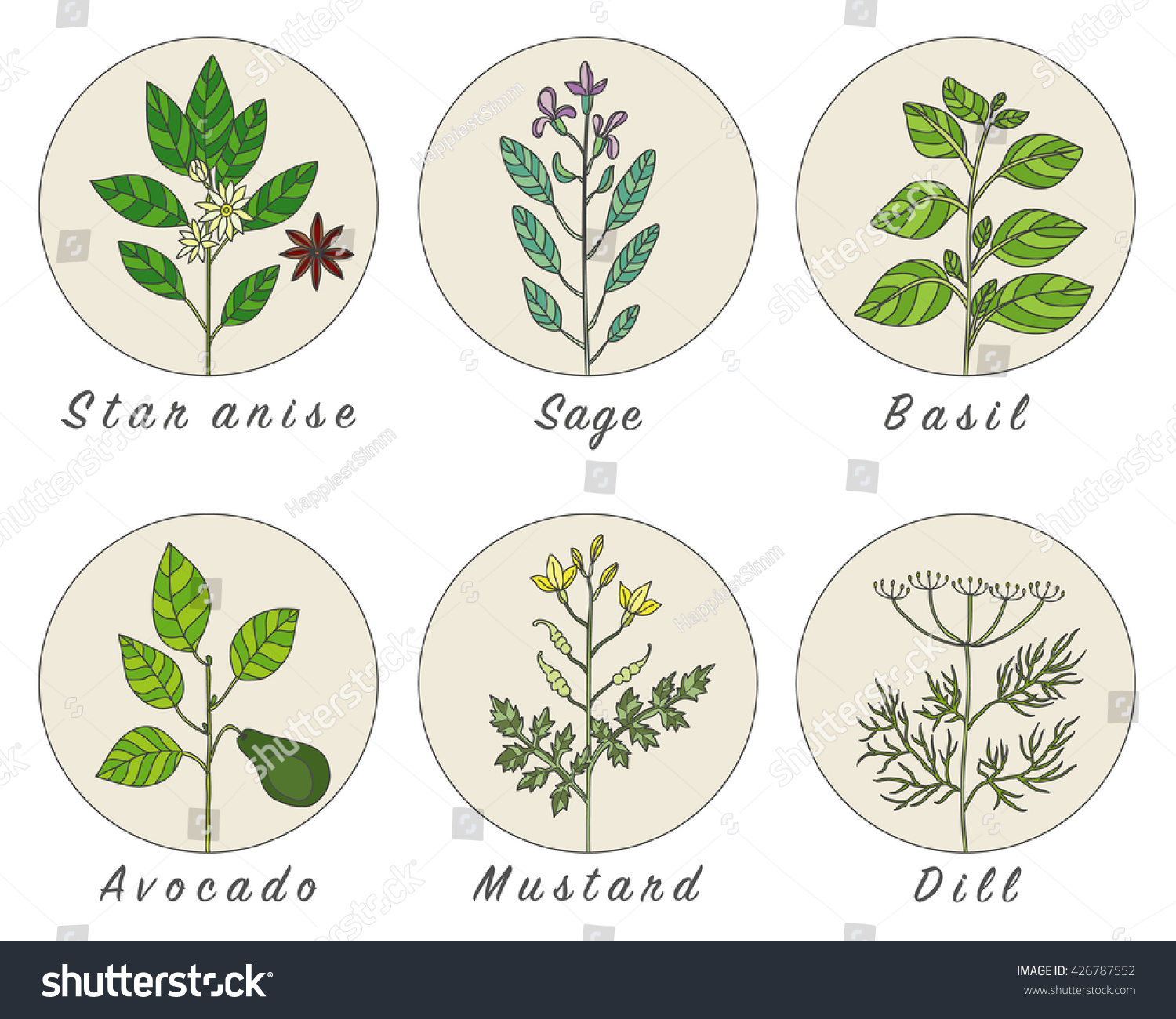 Set of spices, medicinal herbs and officinale healing plants icons. Hand drawn illustrations. Botanic sketches. #426787552