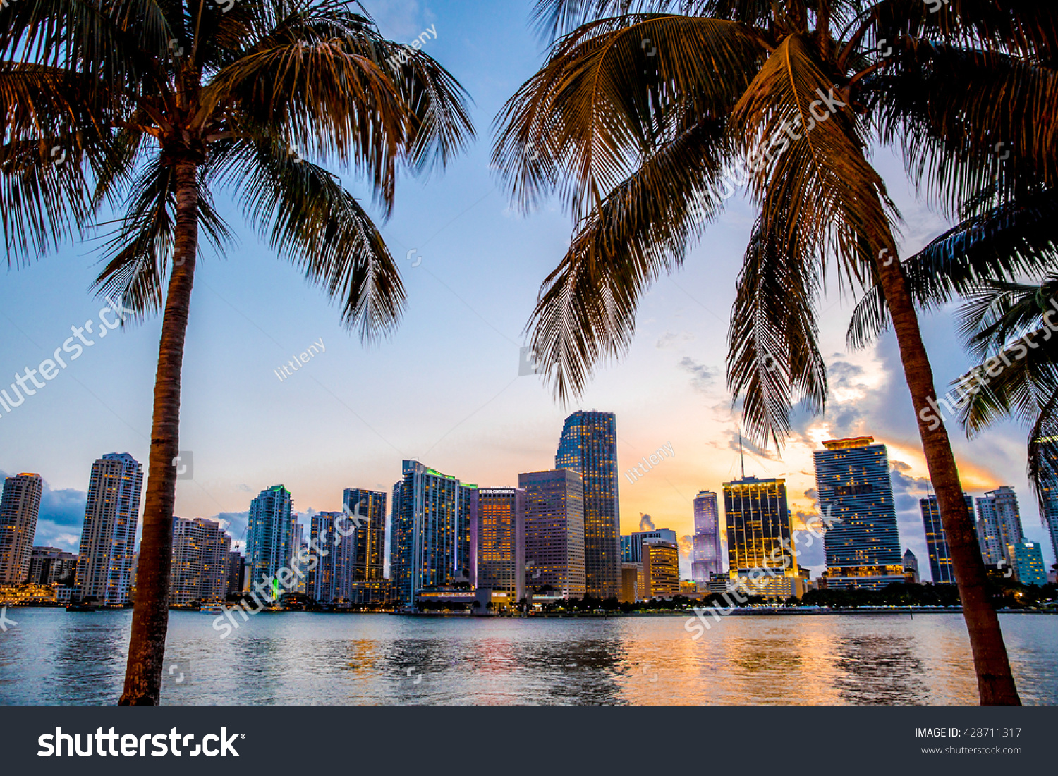 Miami, Florida skyline and bay at sunset seen through palm trees  #428711317