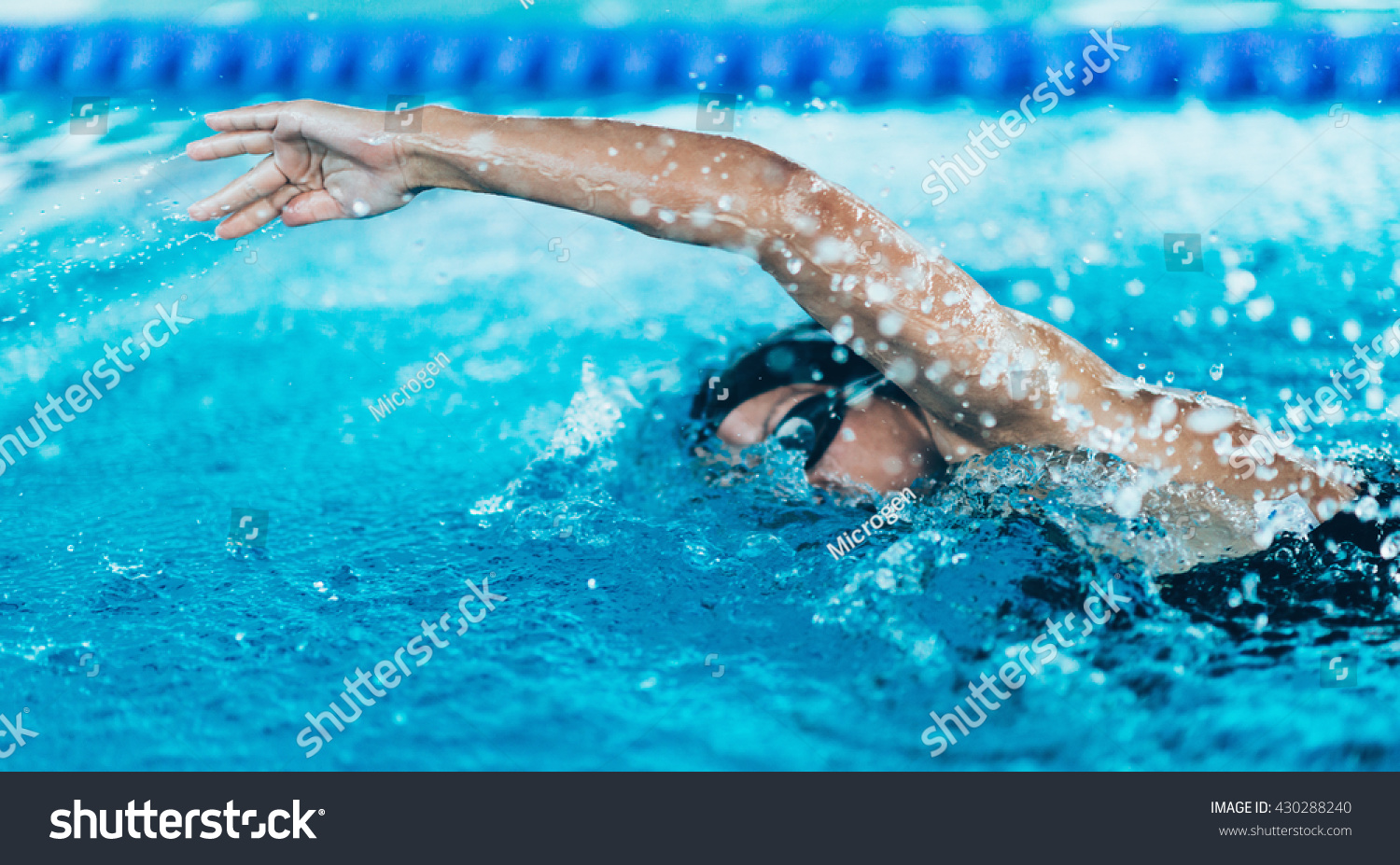 Front crawl swimmer in the pool #430288240