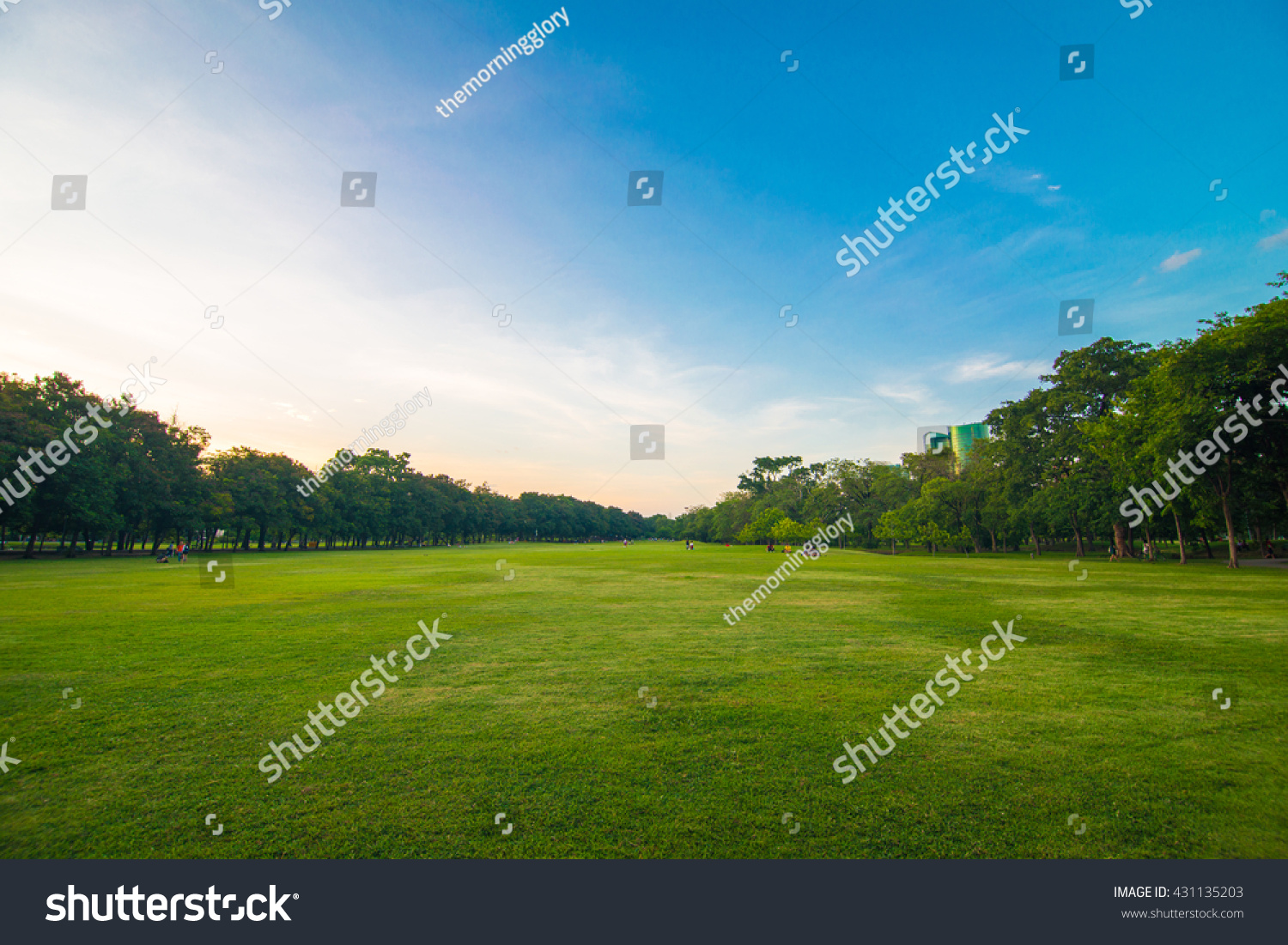 Green beautiful park and blue sky in evening #431135203