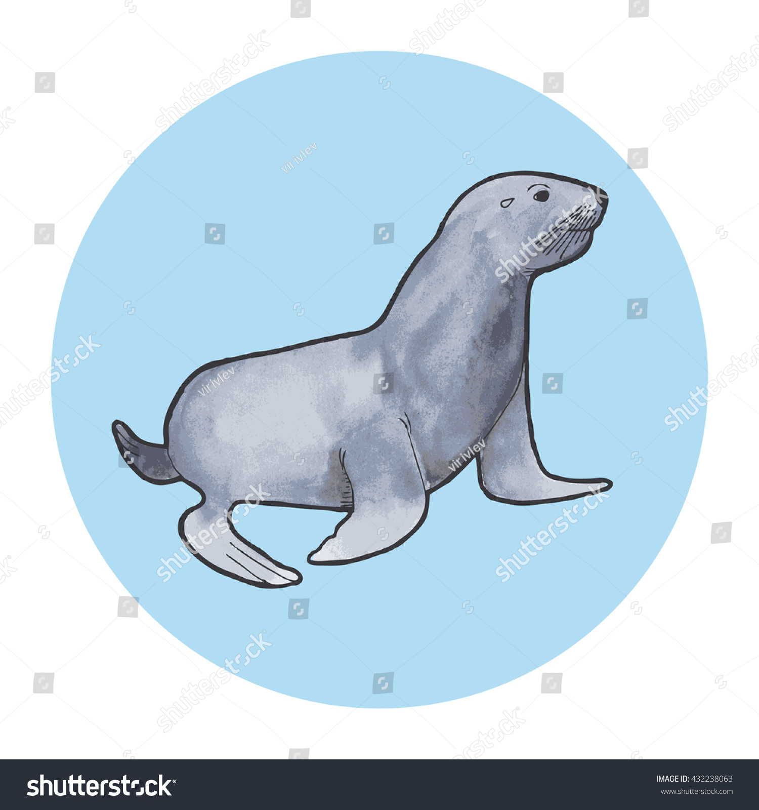 Fur seal. Outline with watercolor background. - Royalty Free Stock ...