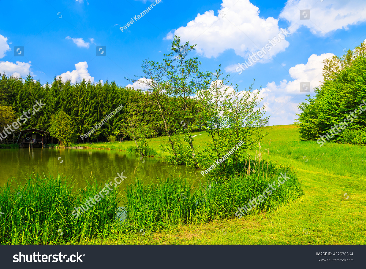 A small lake in beautiful summer landscape, Austria #432576364