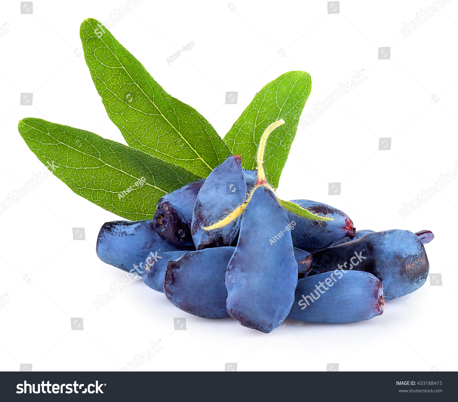 Fresh honeysuckle blue berry fruits with leaf isolated on white background #433188415