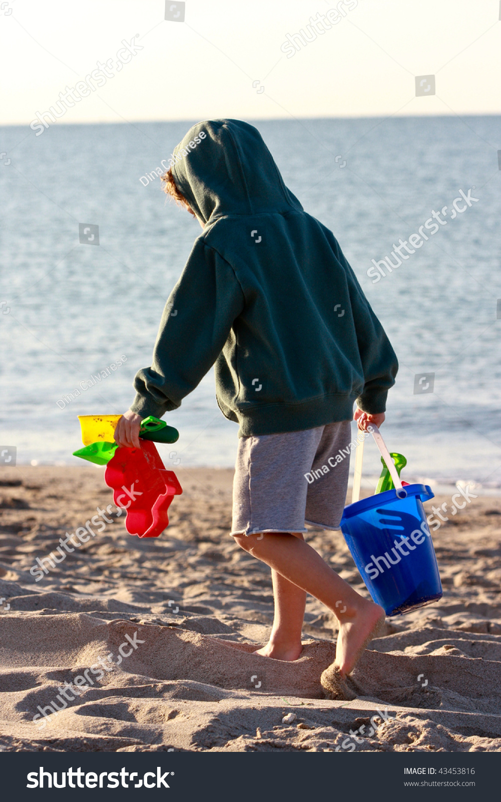 beach boy buckets #43453816