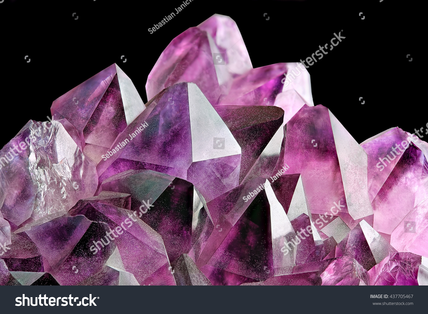 Crystal Stone macro mineral, purple rough amethyst quartz crystals on black background #437705467