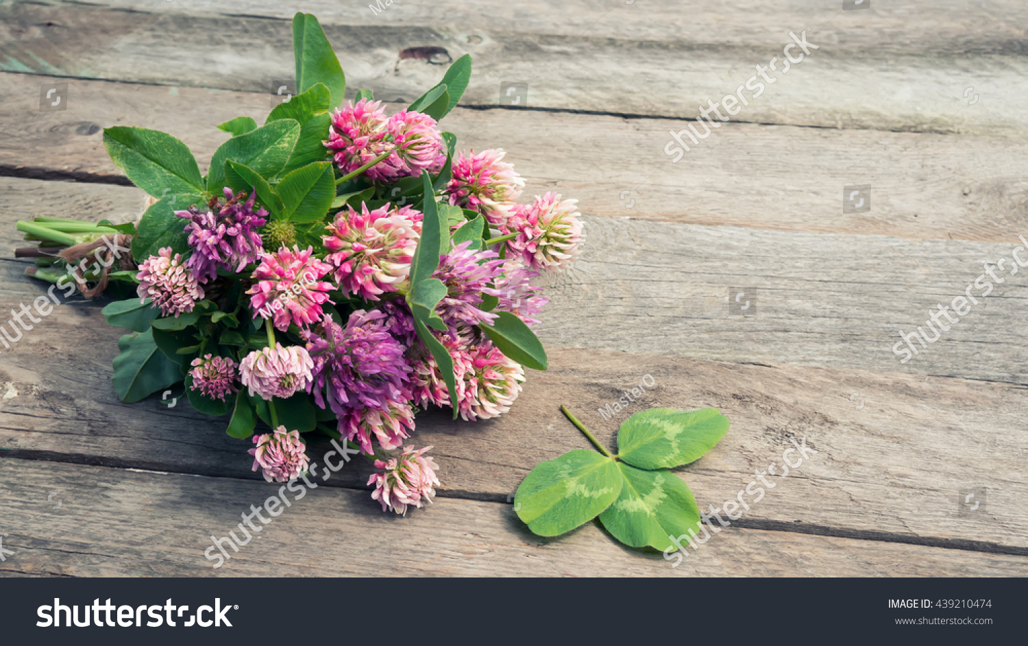Clover flowers bouquet with leaves on wooden background at sunset light. Romantic scene.  #439210474