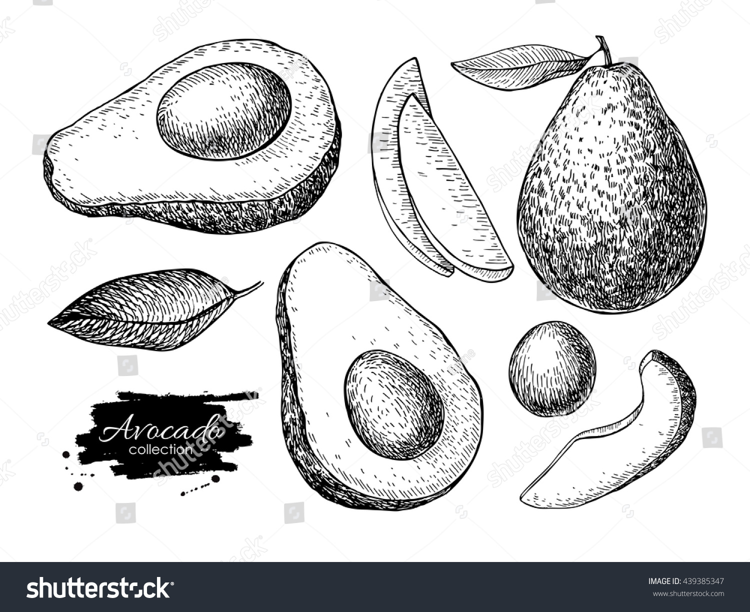 Vector hand drawn avocado set. Whole avocado, sliced pieces, half, leaf and seed sketch. Tropical summer fruit engraved style illustration. Detailed food drawing. Great for label, poster, print #439385347