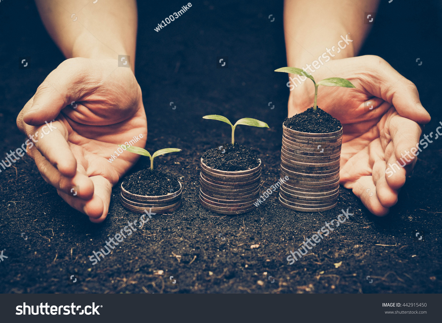 hands holding trees growing on coins / csr / sustainable development / economic growth / trees growing on stack of coins / Business with environmental concern #442915450