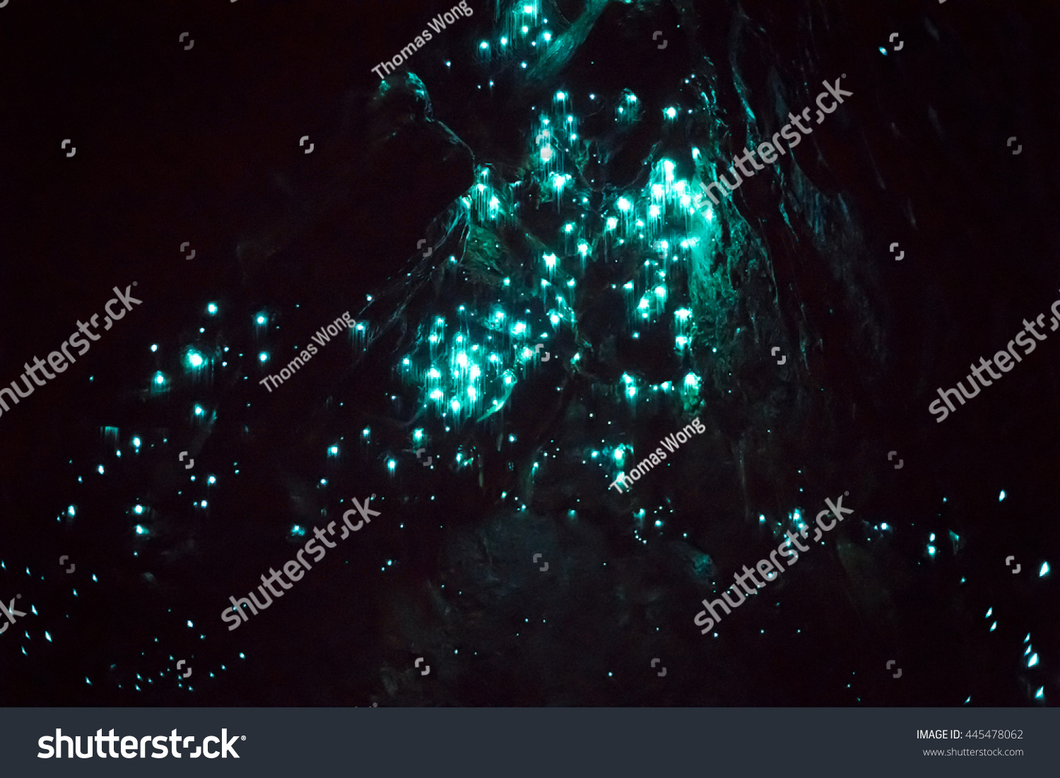 "abbey Cave" Glowworm cave #445478062