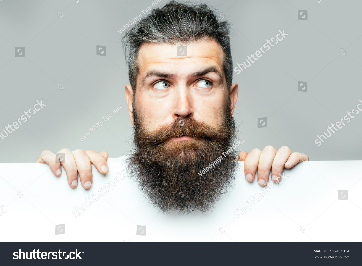 handsome bearded man with long lush beard and moustache on surprised face with white paper sheet in studio on grey background, copy space #445484014