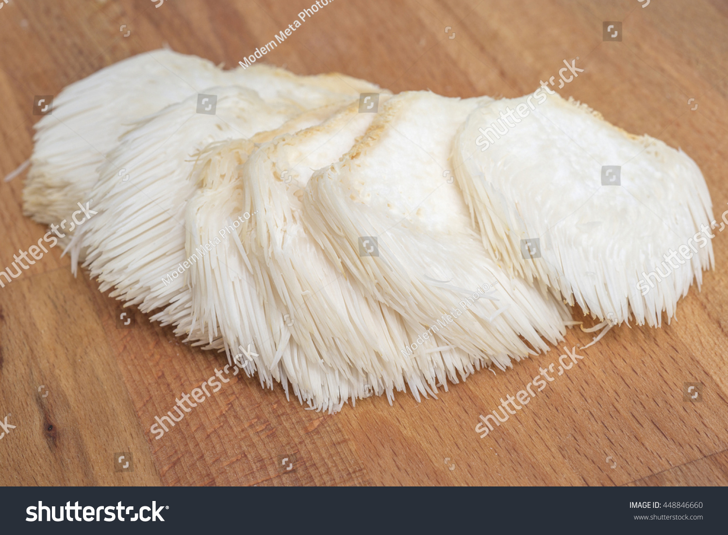 Whole lion's mane / bearded tooth / pom pom / hedgehog mushroom  #448846660