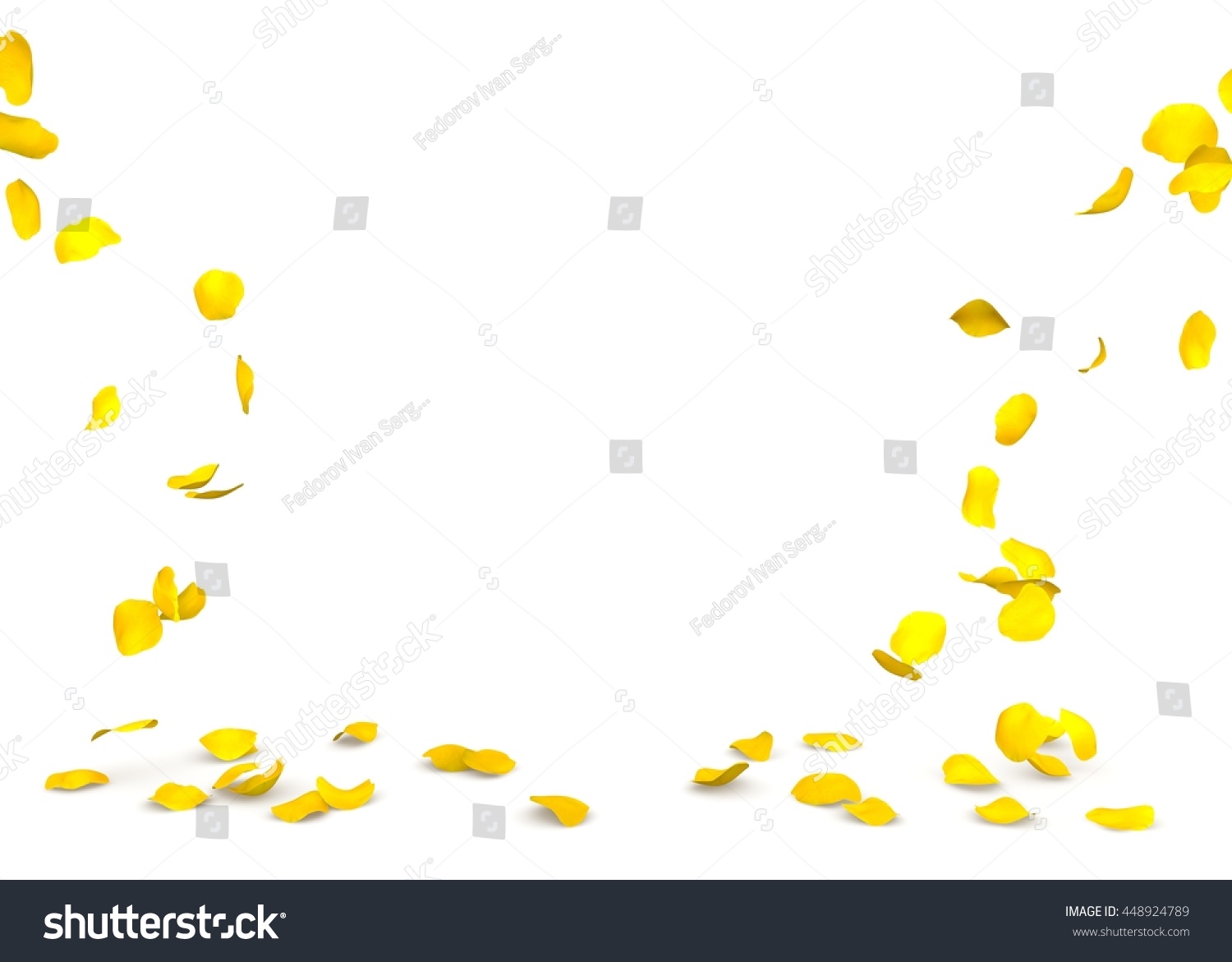 Yellow rose petals flying on the floor. Isolated white background #448924789