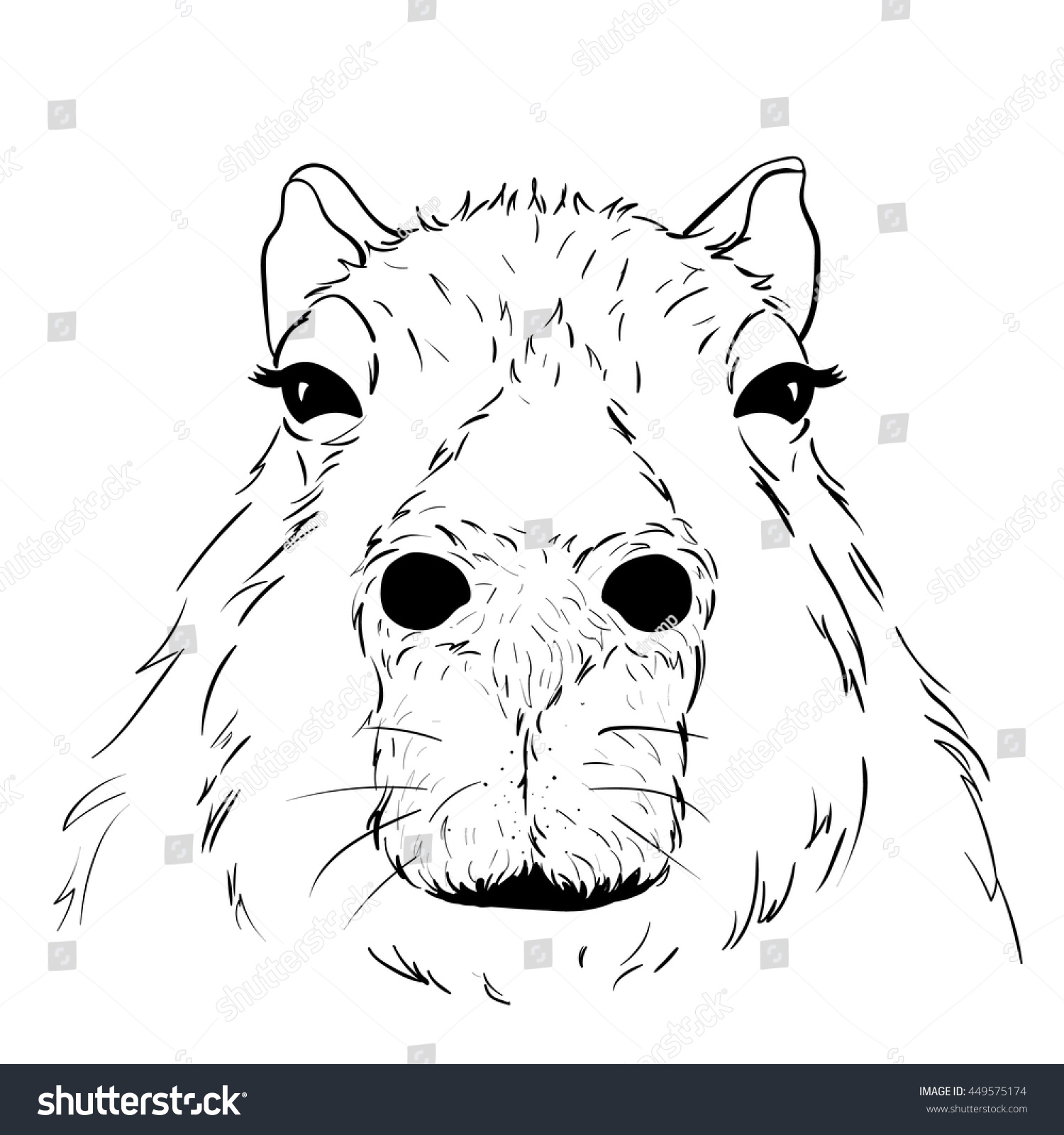 Vector Illustrated Portrait of Capybara isolated - Royalty Free Stock