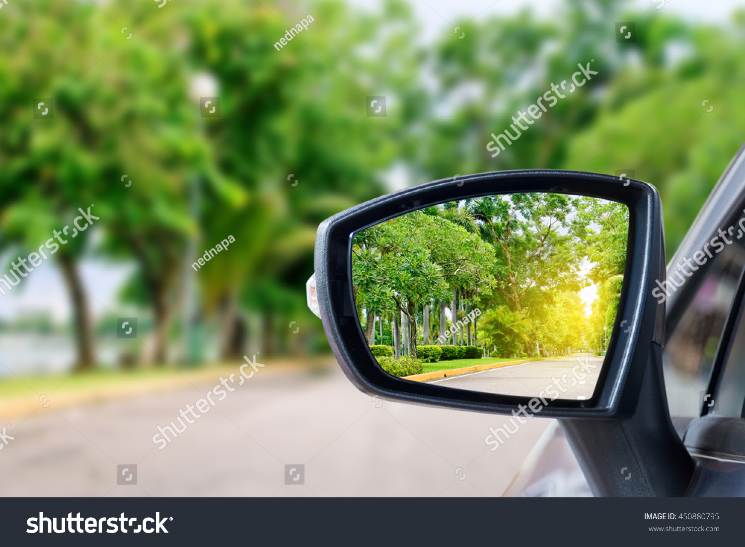 side rear-view mirror on a car. #450880795