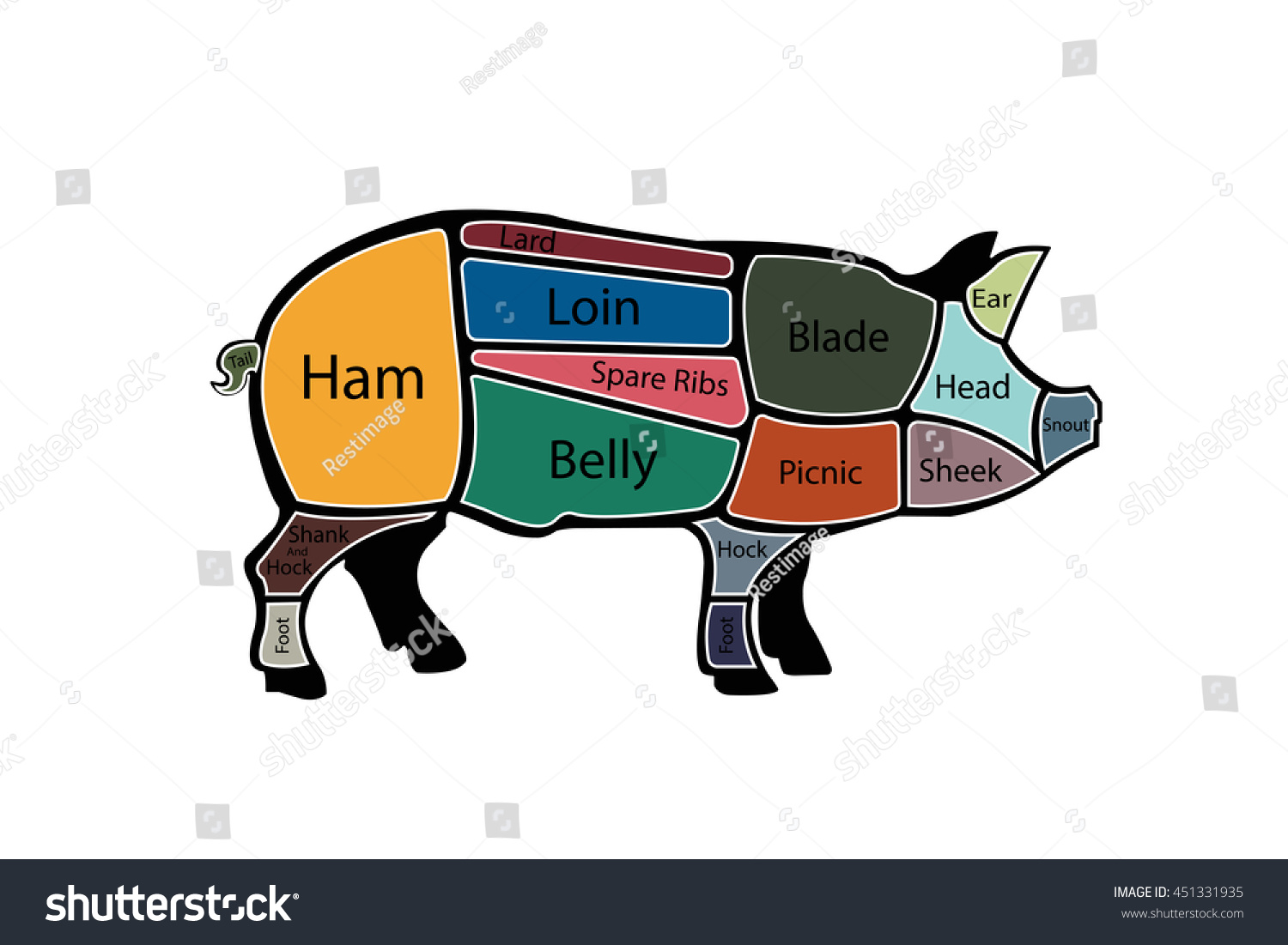 American cuts of pork. Vector illustration. - Royalty Free Stock Vector ...