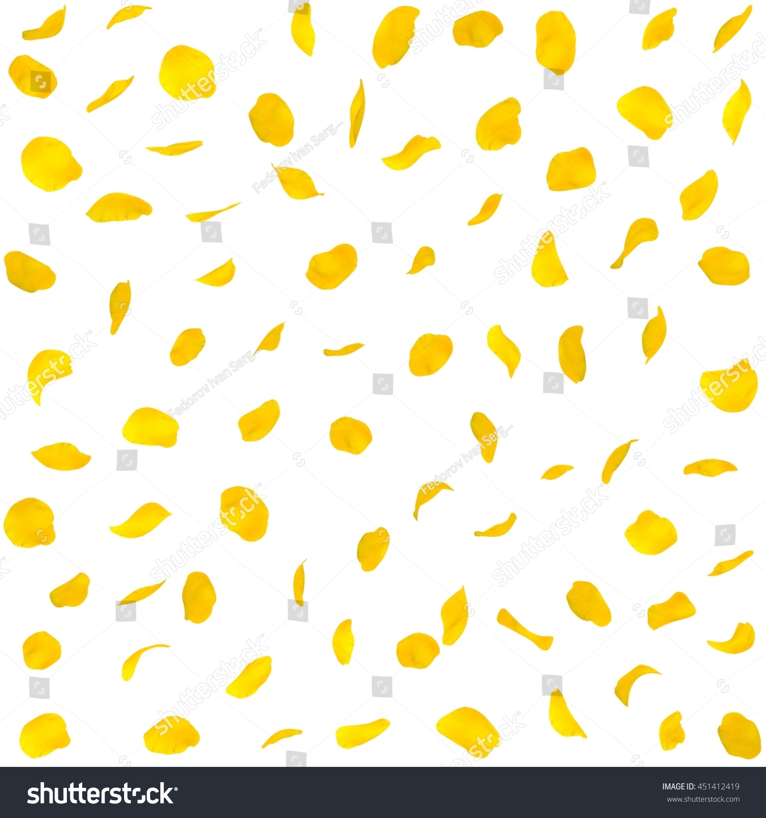 Seamless texture of yellow rose petals. Isolated background #451412419