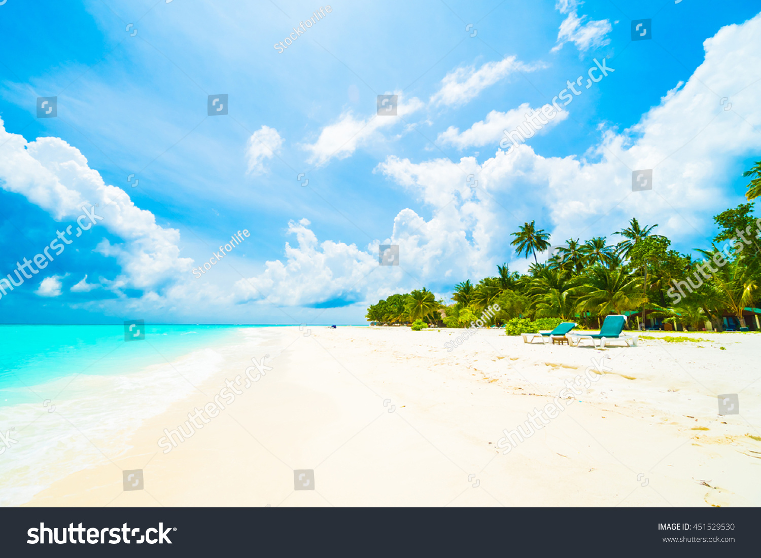 Beautiful tropical beach and sea in maldives island with coconut palm tree and blue sky background
 #451529530