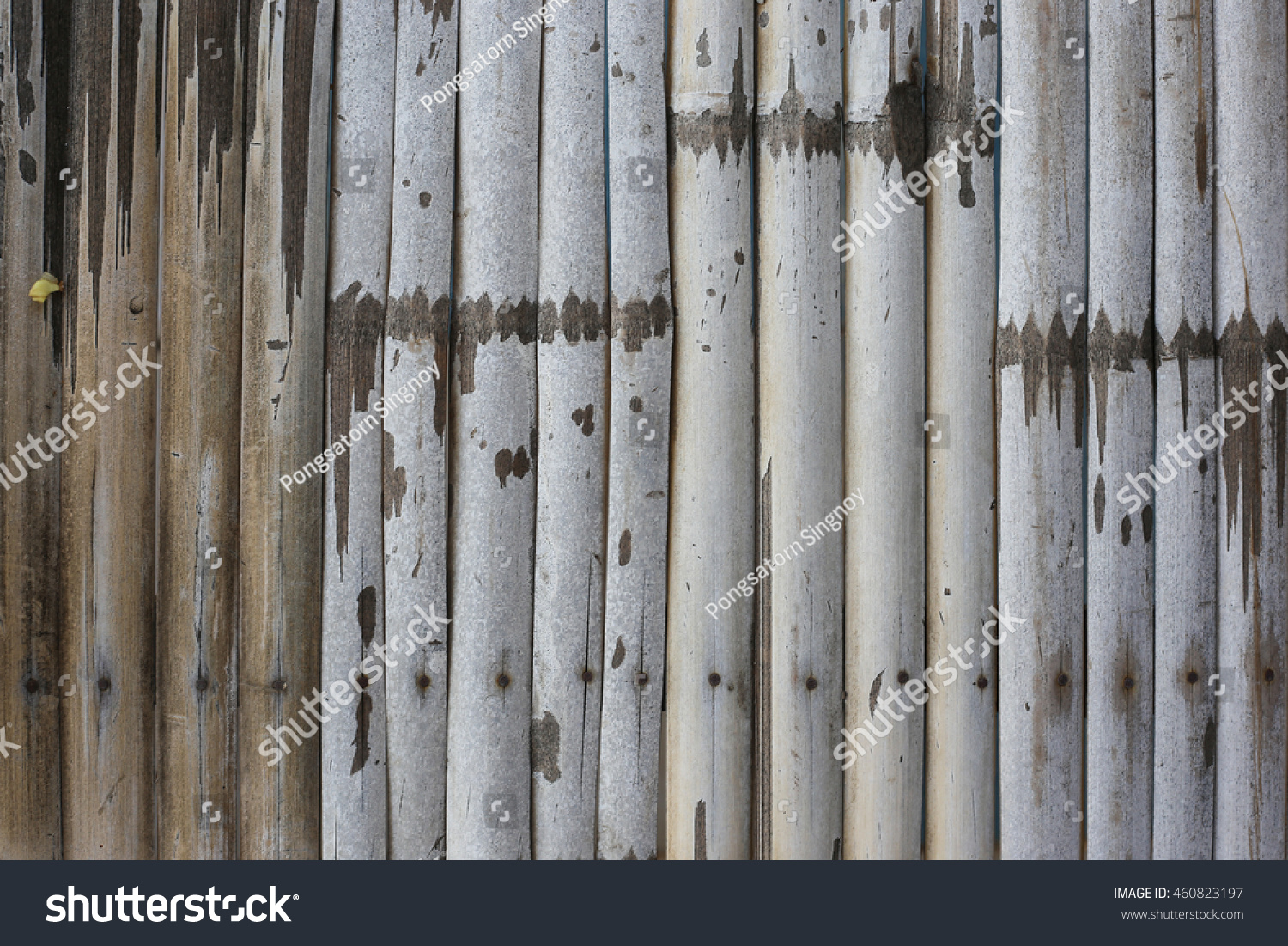 bamboo wall texture #460823197