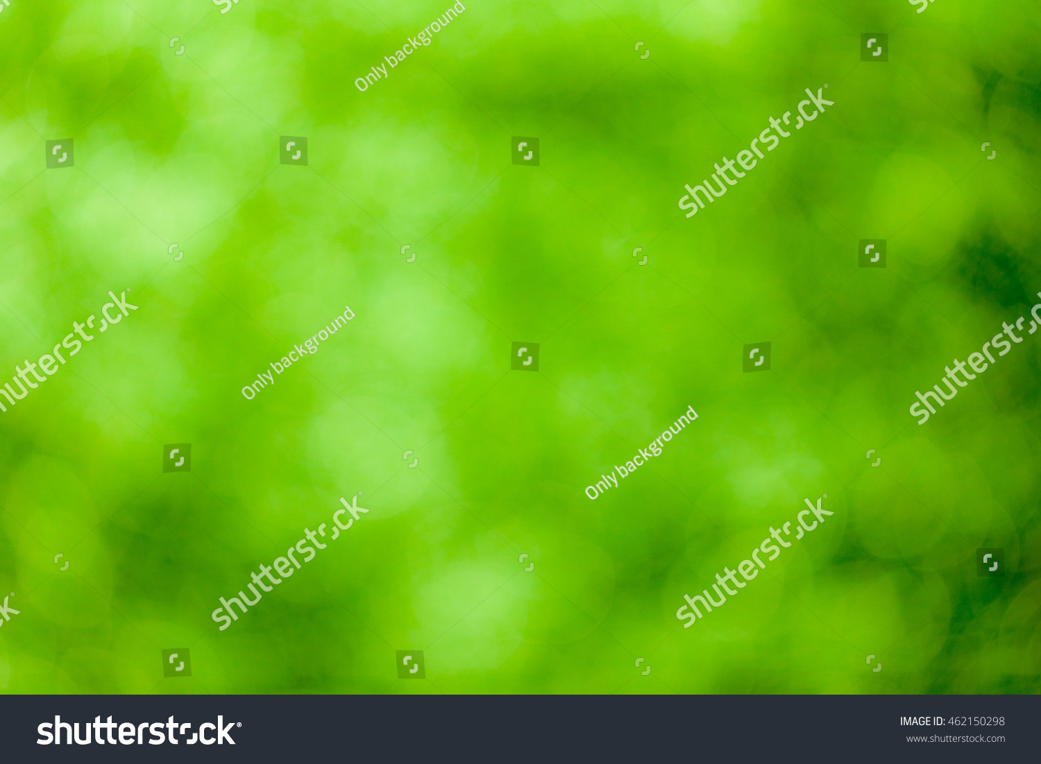Green bokeh soft background #462150298