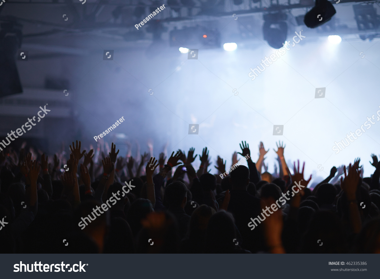 Cheering fans having fun at live concert #462335386
