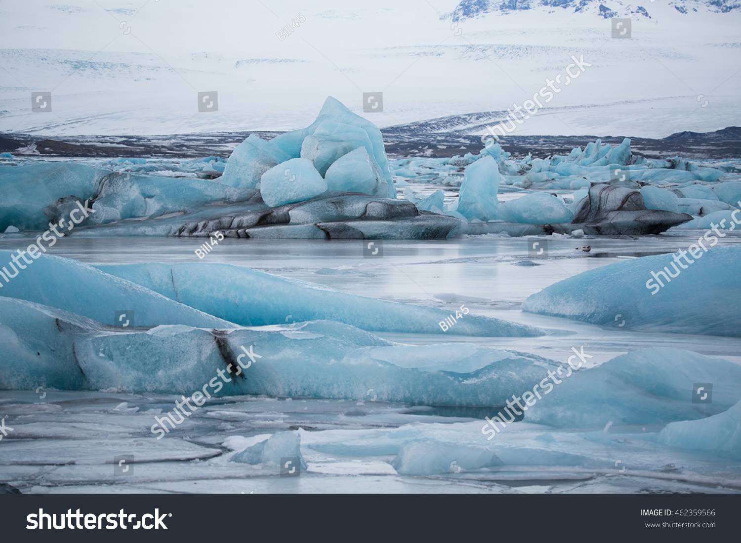 Frozen Jokulsarlon glacier lake lagoon. Vatnajokull National Park. Iceland. #462359566