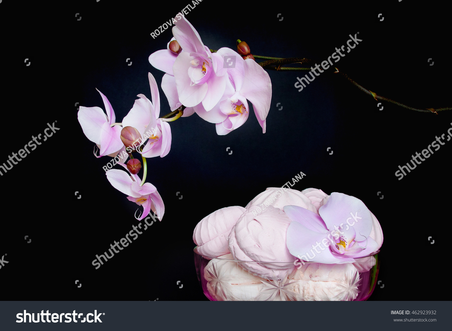 The Phalaenopsis Orchid and marshmallows in a glass vase. Pink and white still life on black background. Valentine's day holiday. composition #462923932