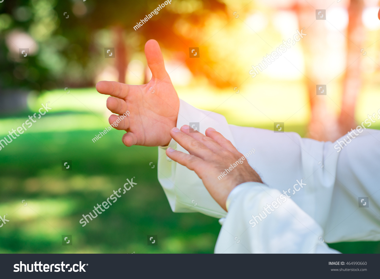practice of Tai Chi Chuan in the park. Detail of hand positions #464990660