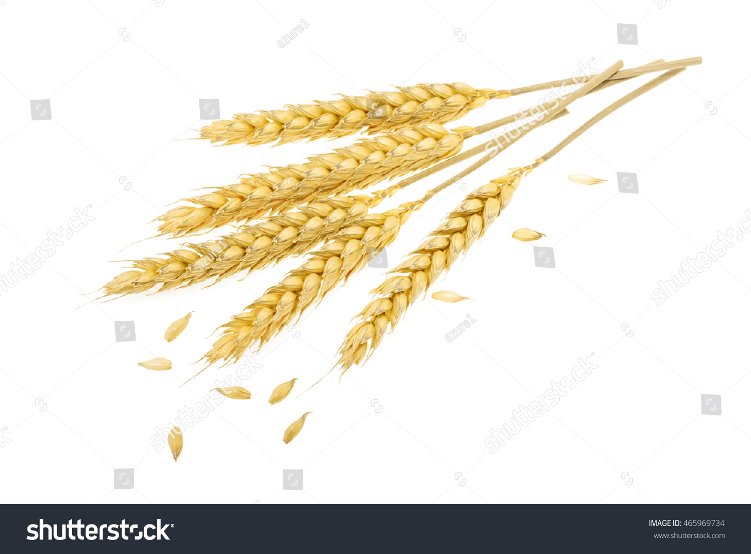 Wheat isolated on white #465969734