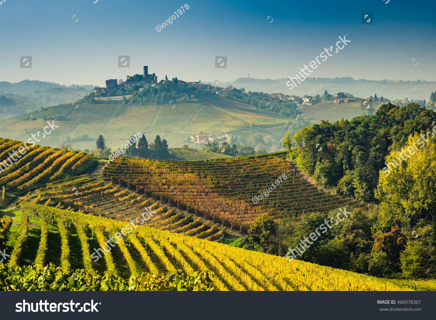 Langhe vineyards of Piedmont in autumn #466978367