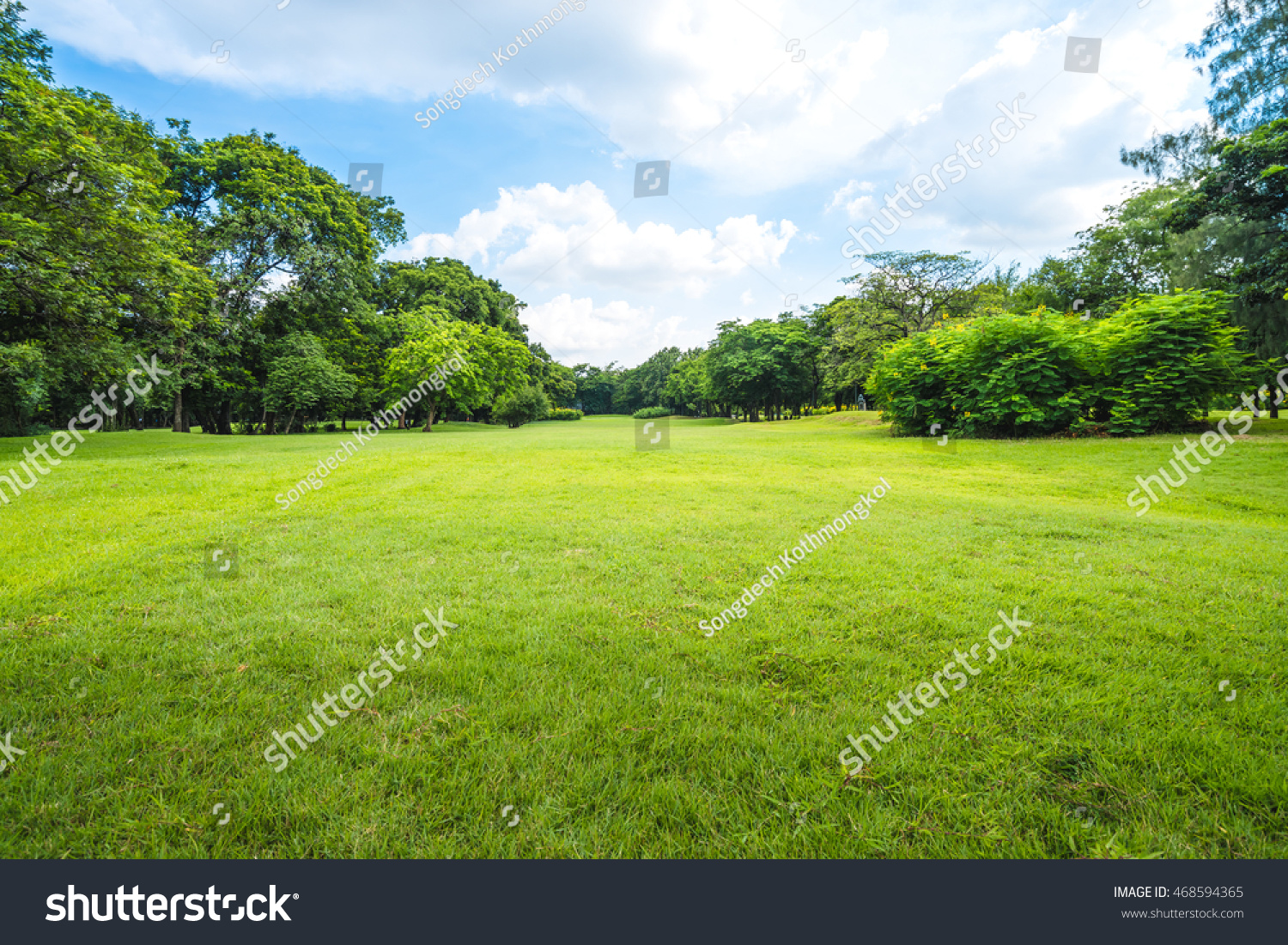 Beautiful park scene in public park with green grass field, green tree plant and a party cloudy blue sky #468594365