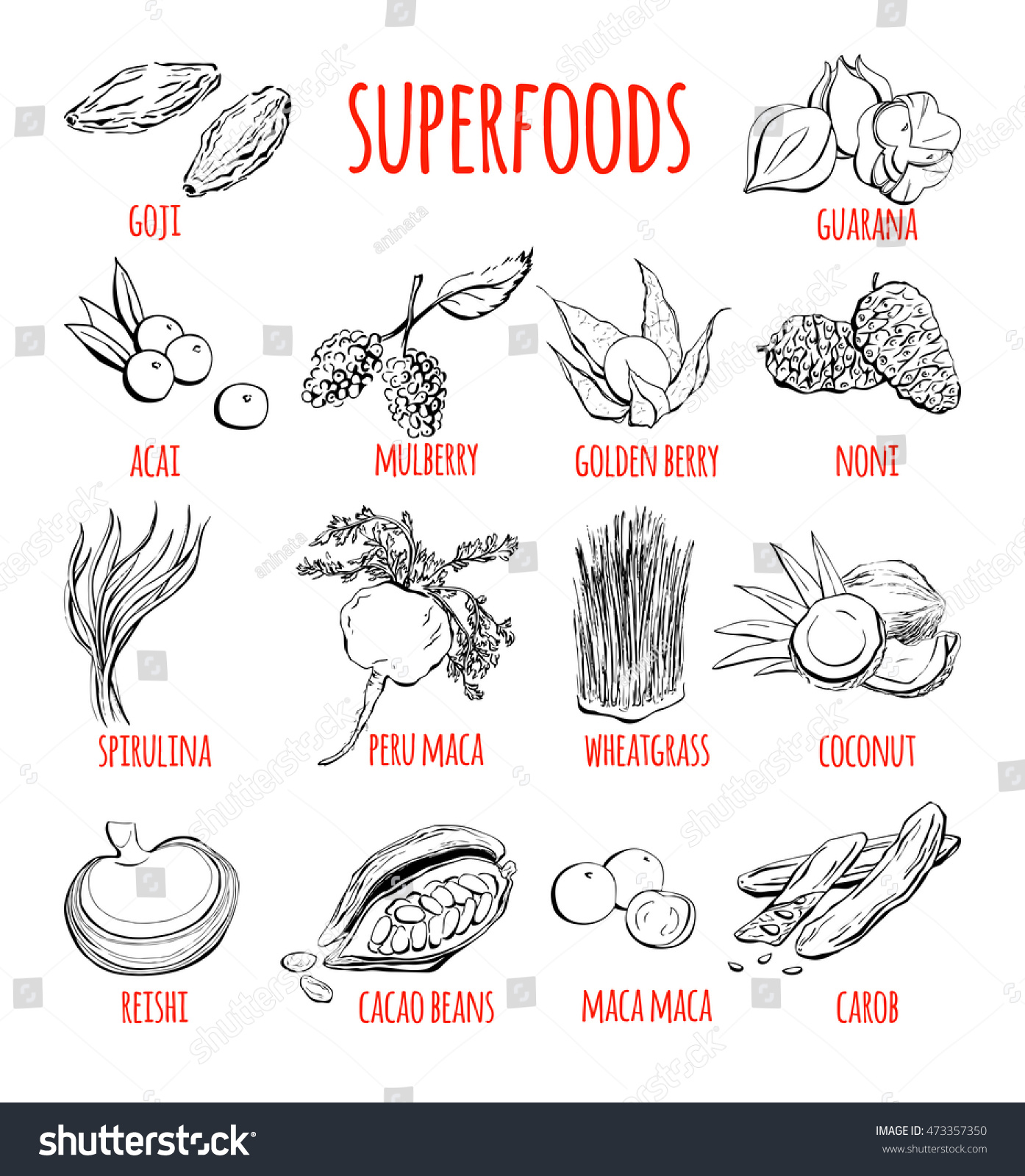 Big set of vector doodle illustrations of the most popular super foods. Collection of hand drawn fruits, plants and berries with black outline isolated on white background. #473357350
