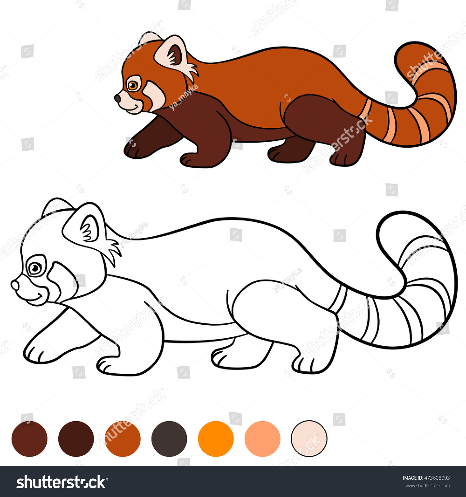 Coloring page: red panda. Little cute red panda - Royalty Free Stock ...