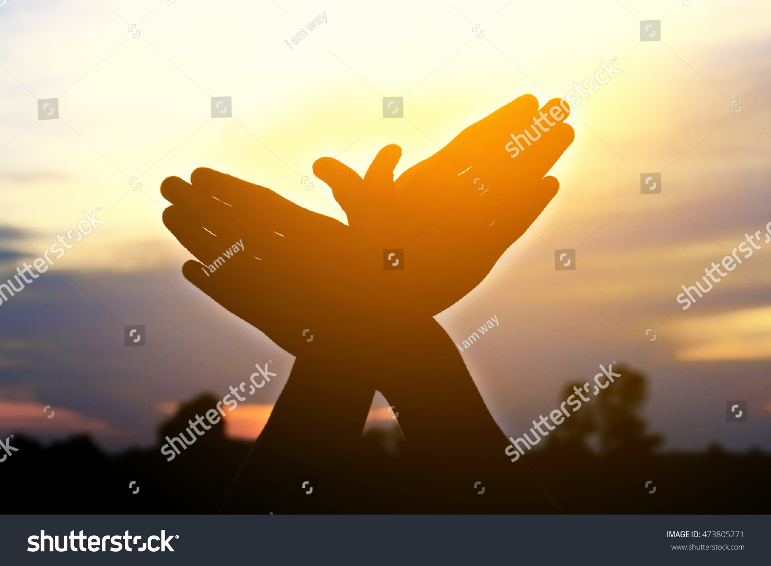 silhouette hand people resemble bird flying in the sunset  #473805271