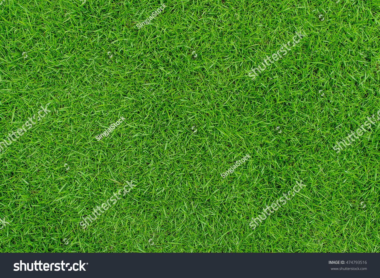 Green grass texture background Top view of bright grass garden Idea concept used for making green backdrop, lawn for training football pitch, Grass Golf Courses green lawn pattern textured background. #474793516