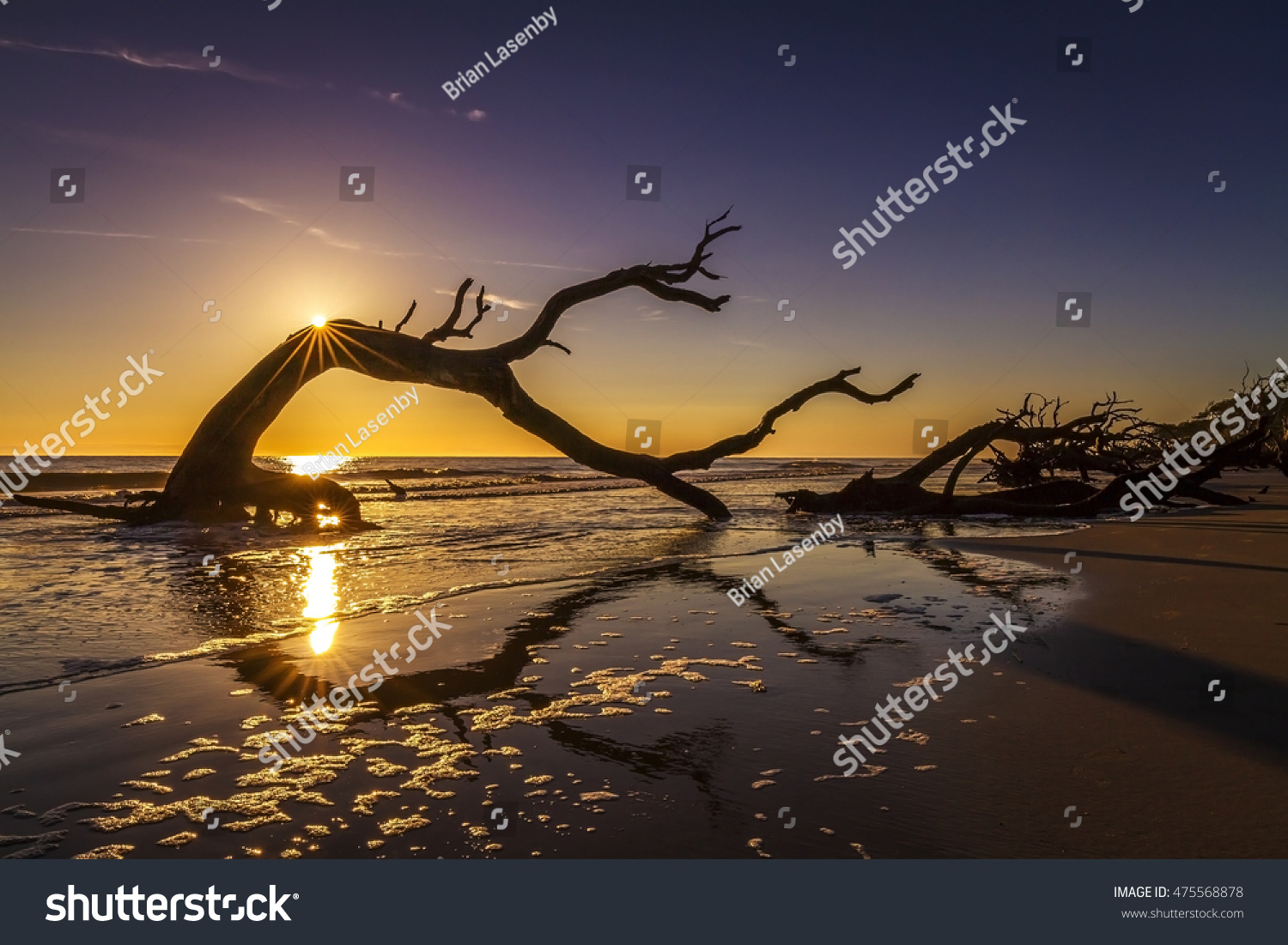 Sunrise over a driftwood-covered beach -Jekyll Island, Georgia, United States #475568878