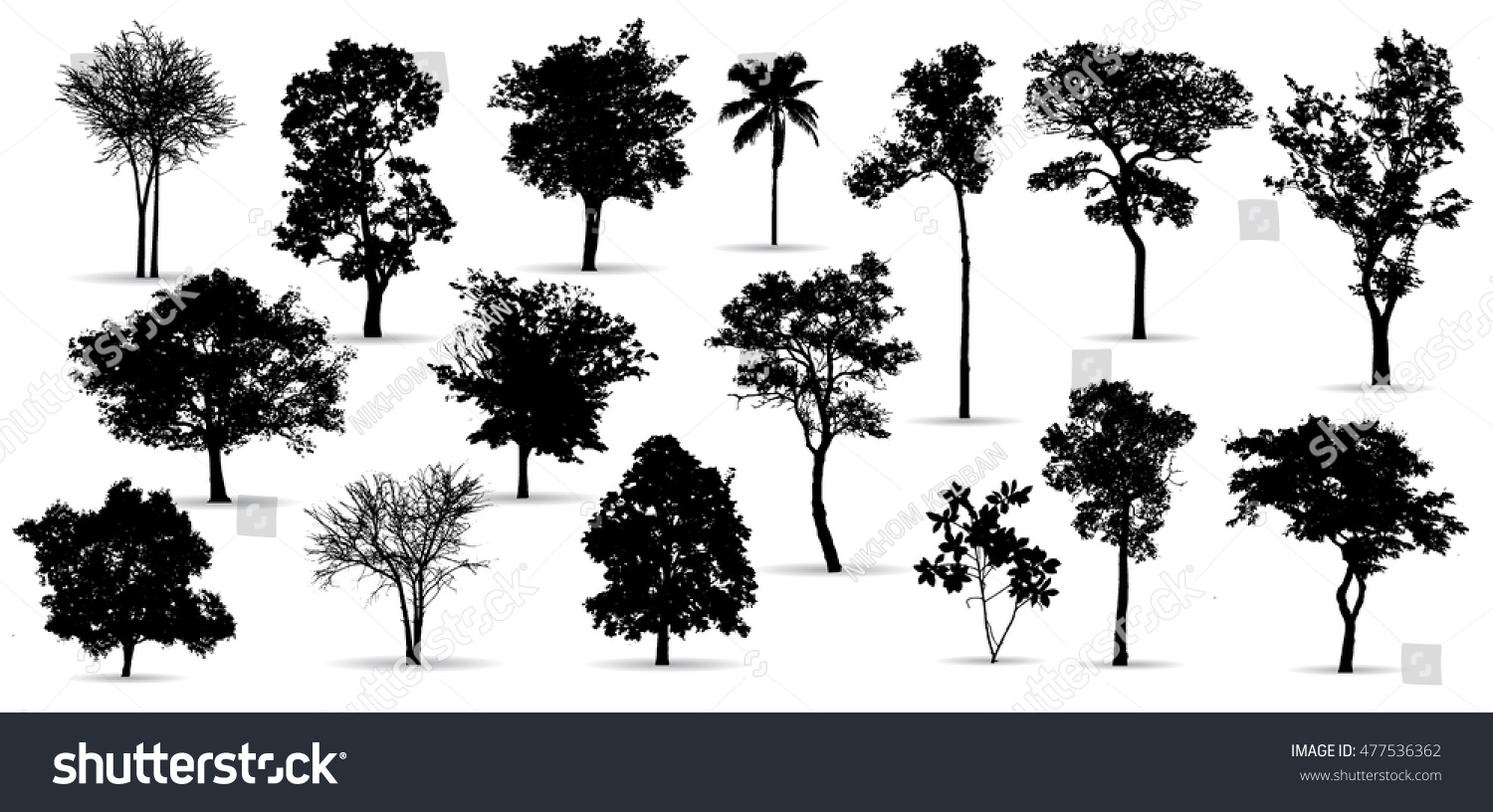 tree silhouettes on white background. Vector illustration. #477536362
