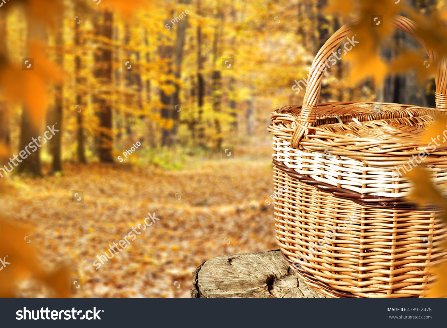 autumn background and space for your decoration  #478922476