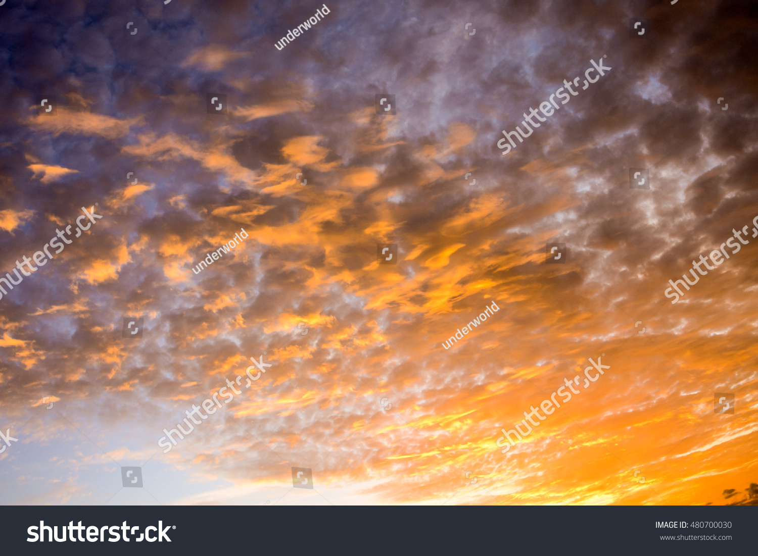 Cloudscape, Colored Clouds at Sunset near the Ocean #480700030