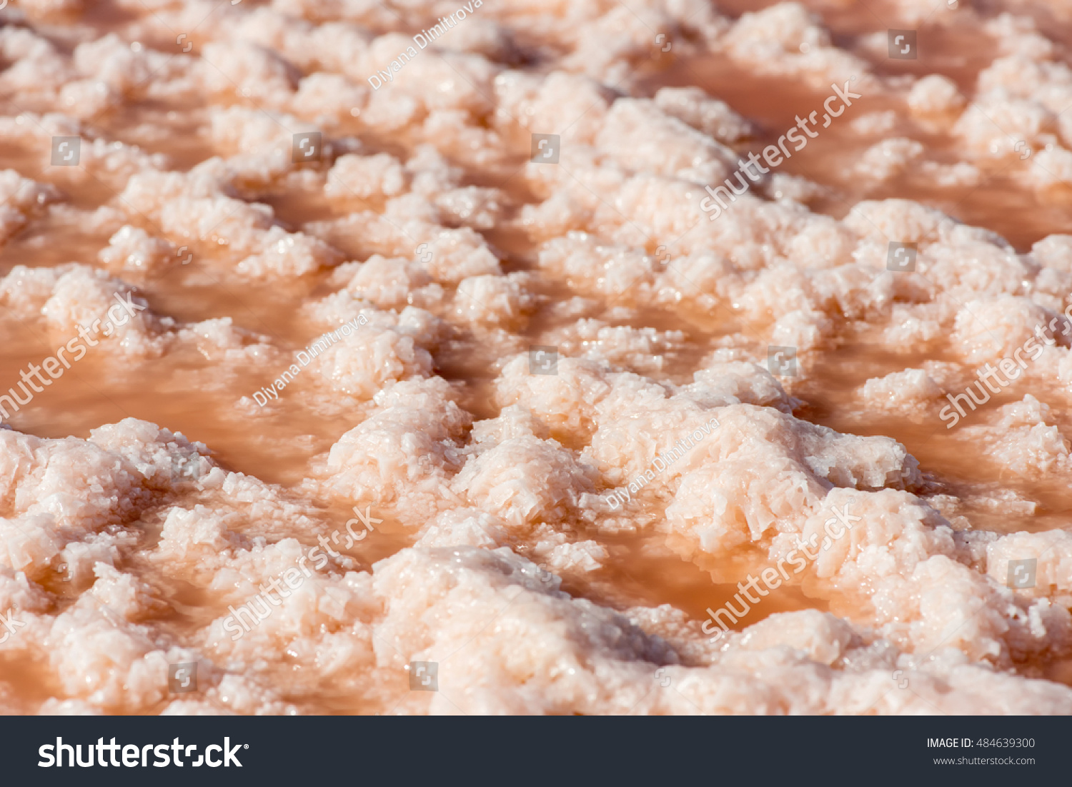 Salt formations in a dried lake of the saltworks near Burgas, Bulgaria, Eastern Europe - selective focus, copy space #484639300