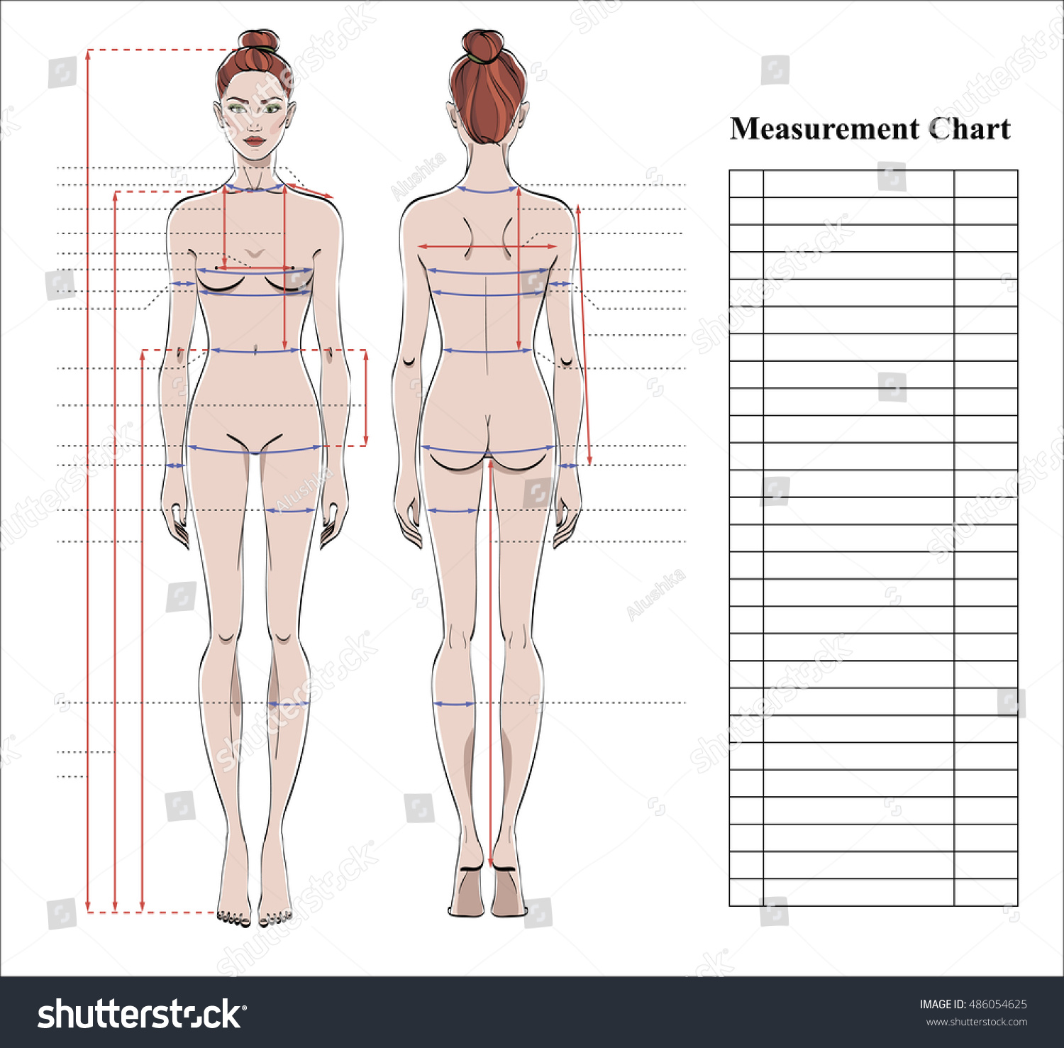 Woman Body Measurement Chart Scheme Stock Photo 486054625