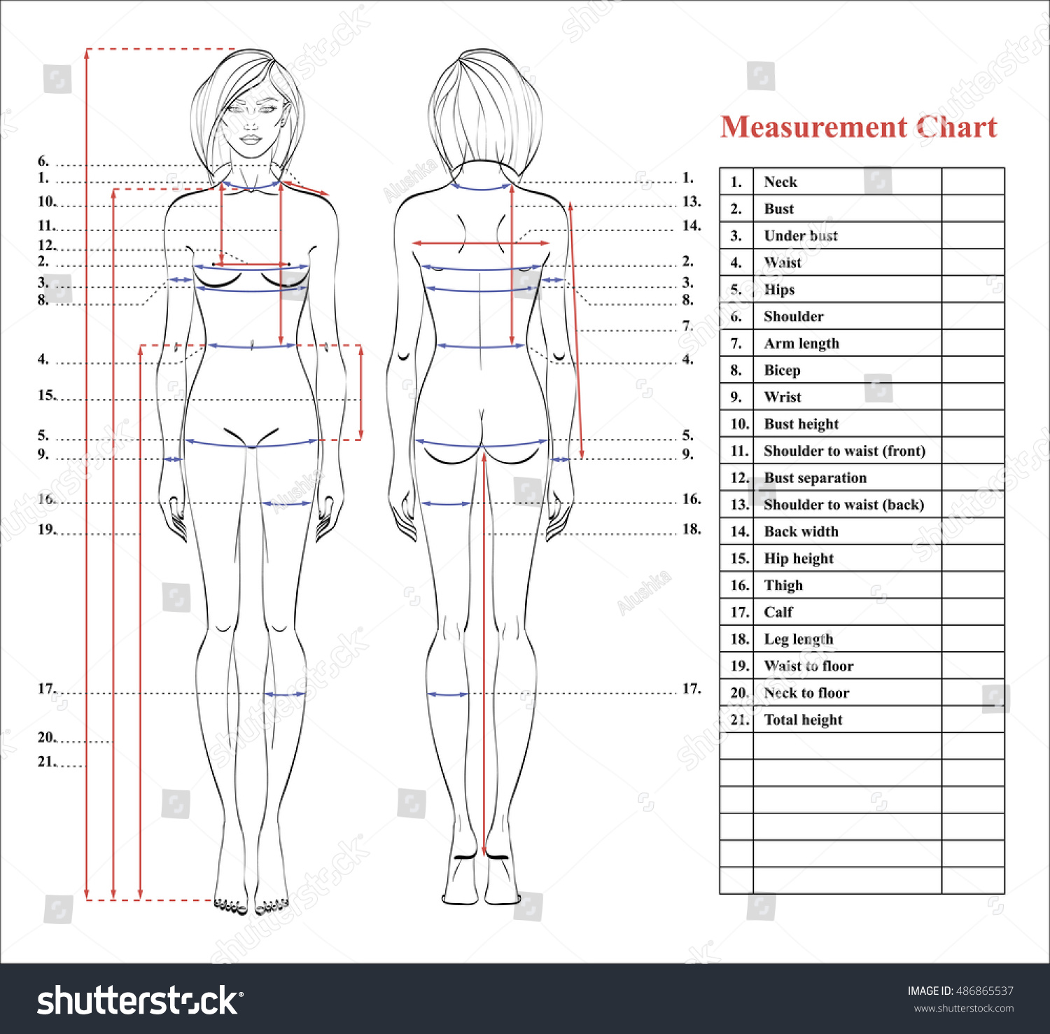 Woman Body Measurement Chart Scheme For Royalty Free Stock Vector 486865537 Avopix